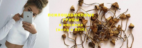 стаф Алексин