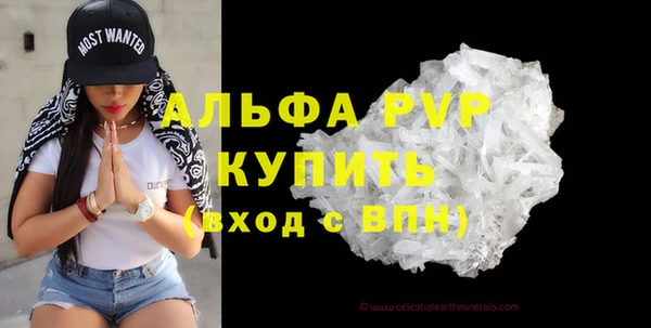 стаф Алексин