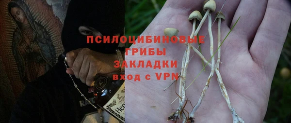стаф Алексин