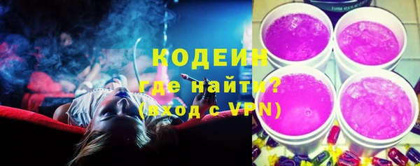 ГАЛЛЮЦИНОГЕННЫЕ ГРИБЫ Абаза