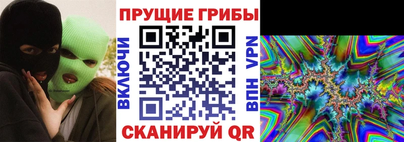 Псилоцибиновые грибы Psilocybe Холм